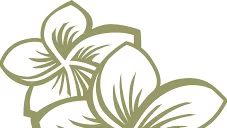 Balinese wellness oasis comes to Olching
