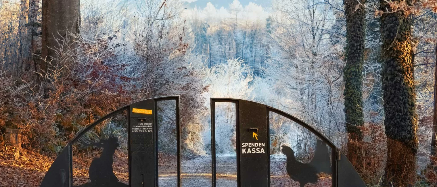 Eingang Wildpark Feldkirch Winter