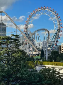 Ferris wheel & Amusement Ride