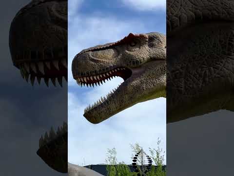 IKUNA Naturresort Erfahrungsberich