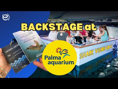Palma Aquarium, Majorca Full Tour 2025! Including Backstage and Shark Boat!  Esposreef 785 Abonnenten  Abonnieren