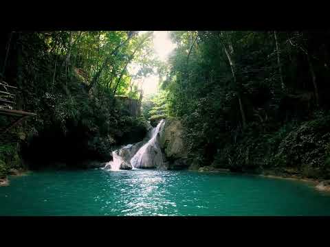Yaaman Adventure Park | Jamaica